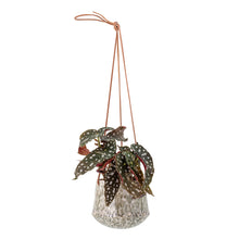 Load image into Gallery viewer, Ilda Hanging Flowerpot, Green
