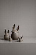 Load image into Gallery viewer, Triplet Bunnies, Dust
